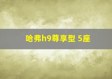 哈弗h9尊享型 5座